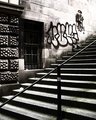 Steps and Tags.jpg