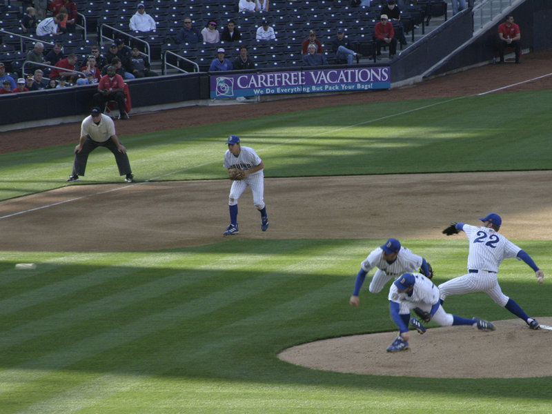 The Pitcher.jpg