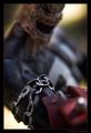 Spawn
