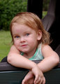 PICT6343a.jpg
