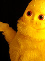 Battered Tubby