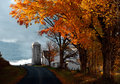 Barn with Golden Leaves