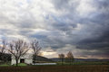 Sky, Barn and Trees