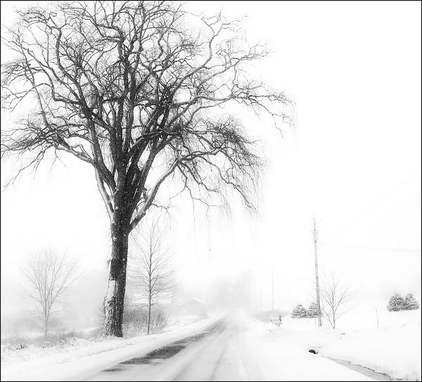 Whiteout