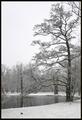 Snow depth