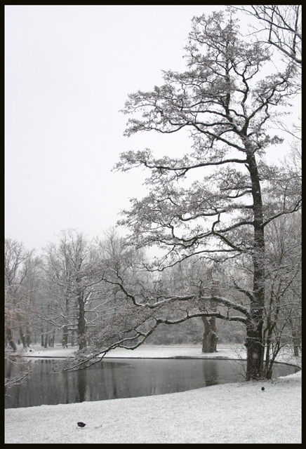 Snow depth