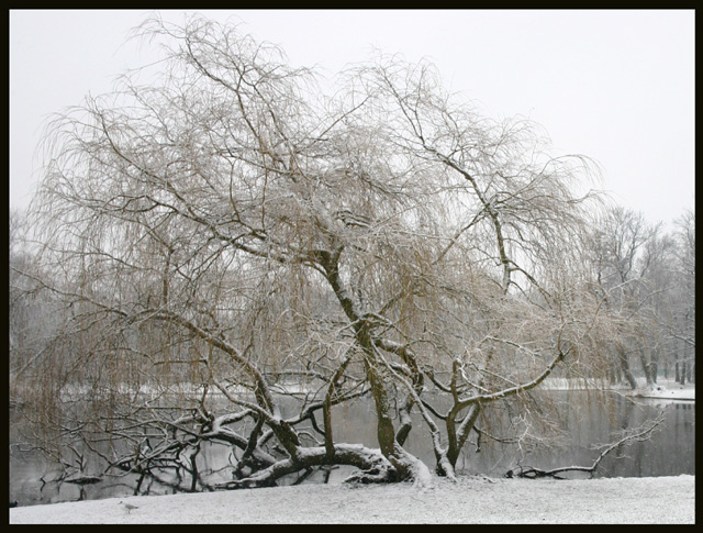 Red on snow