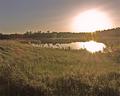 blackwater sunset
