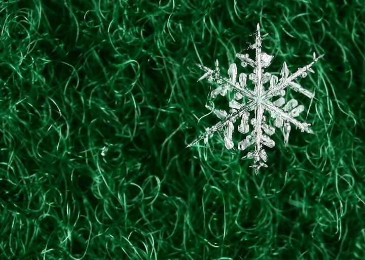 Snowflake Detail