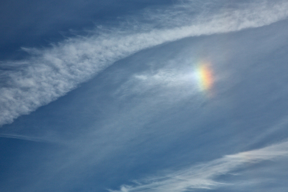 Sunday Sundog
