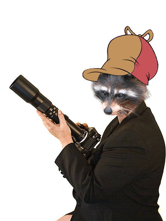 Hunting Wabbits
