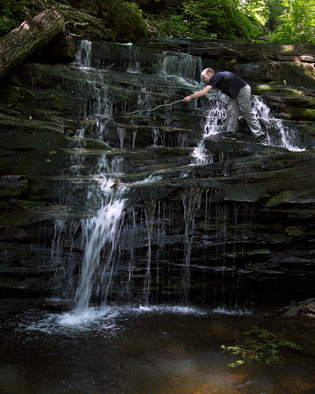 Mycelium Falls