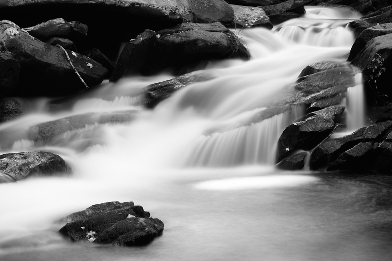B&W Test