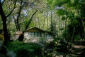 Cabin