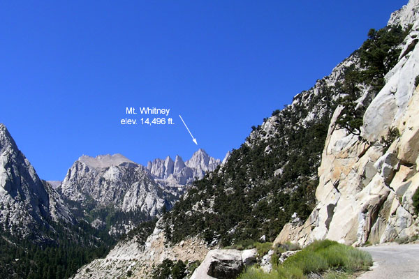 whitney.jpg