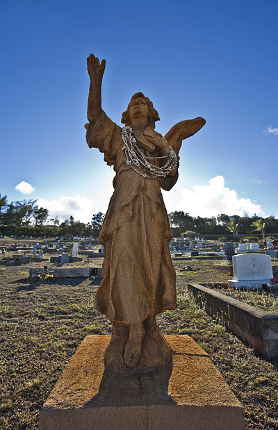 angel.jpg