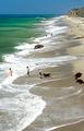 Beach_7