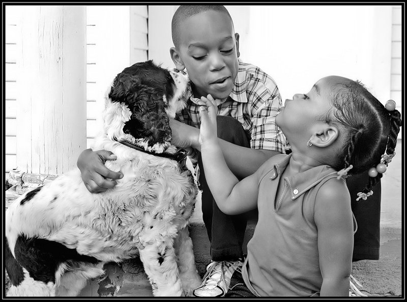 Family