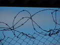 Barbed Wire