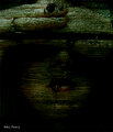 Wooden Face