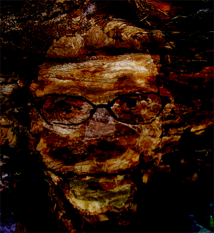 Seelma Wooden