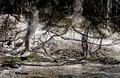 Root of All Evil (natural tone)