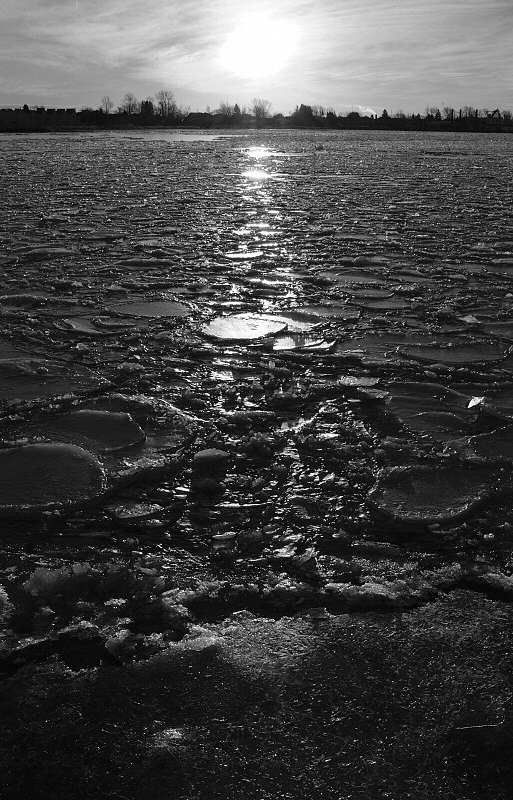 DSC_3026a.jpg