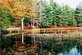 Maine Autumn