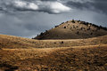 Yonder Hills II