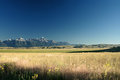 The Grand Tetons