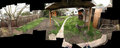 back yard panorama