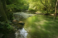 The River Mosel