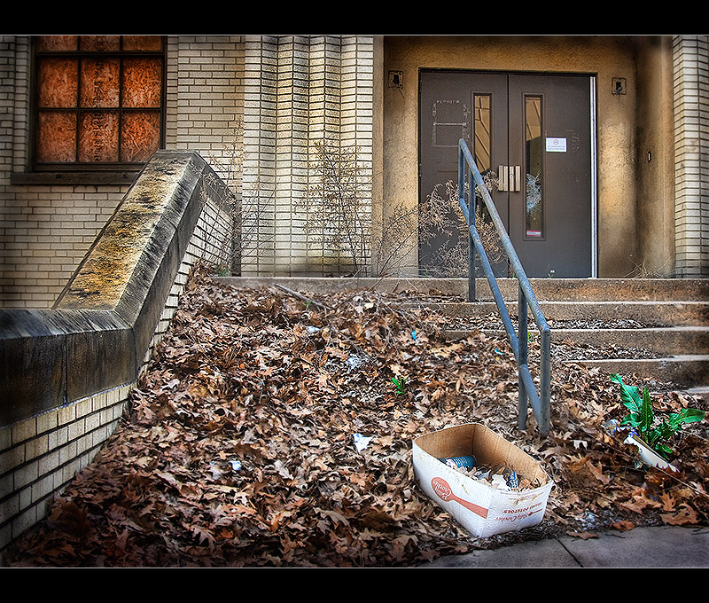Local Government Part II