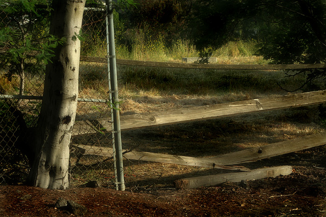 Wood and metal
