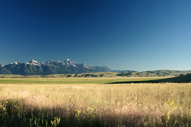 The Grand Tetons