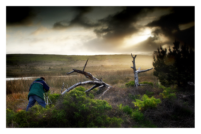 Getting the Shot