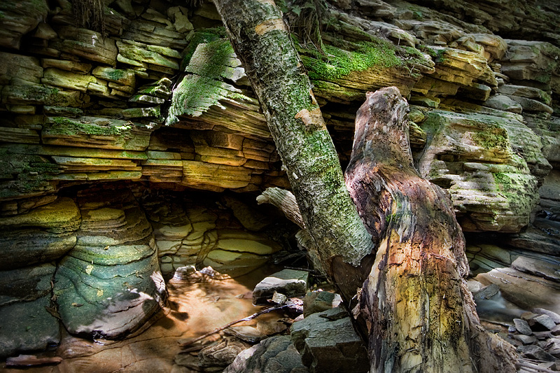 Weathered