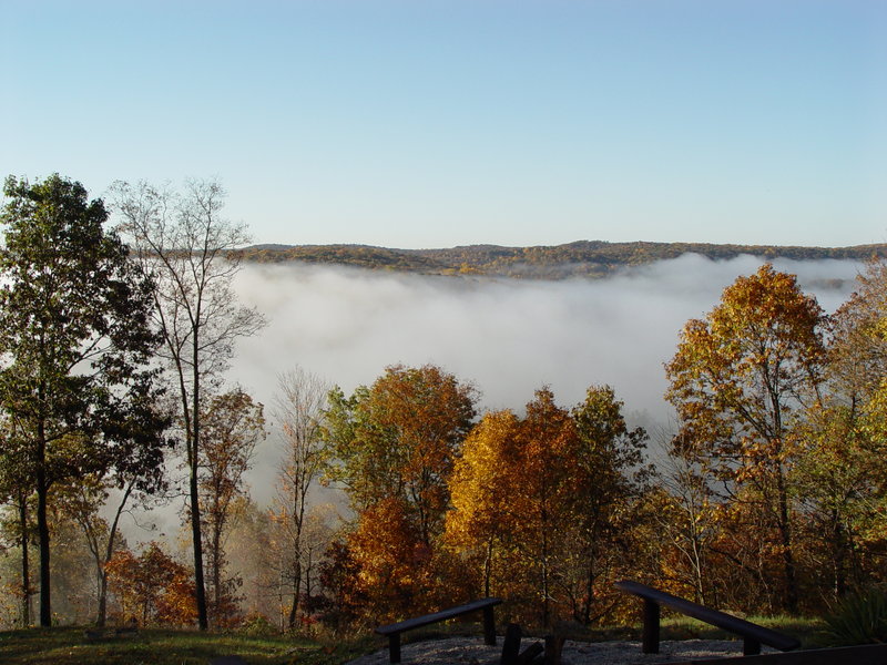 Foggy Morn.jpg