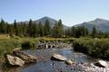 Yosemite-Creek