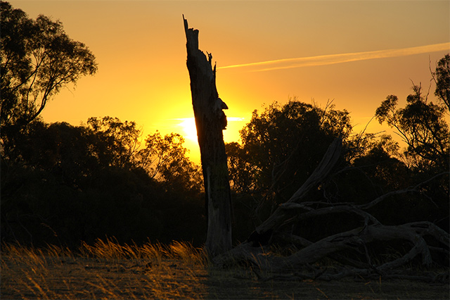 Outback Sunset 2