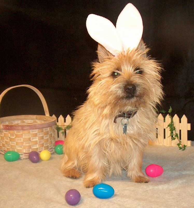 easter cairn.JPG