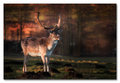 fallow-deer.jpg