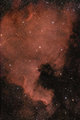 NGC 7000 - North America nebula in Cygnus