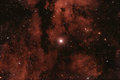 IC 1318 - Sadr area in Cygnus