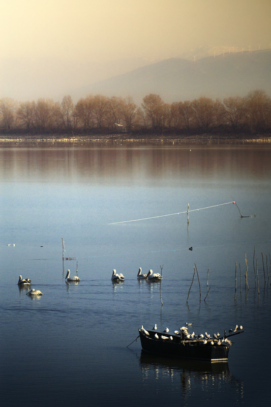 Fisherman's Memories (2)