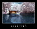 S E R E N I T Y