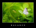B A L A N C E