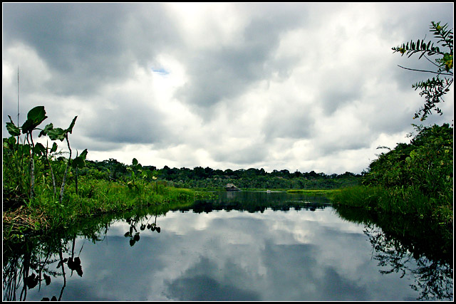 Sacha Lodge