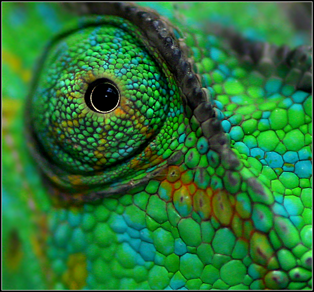 Watching You