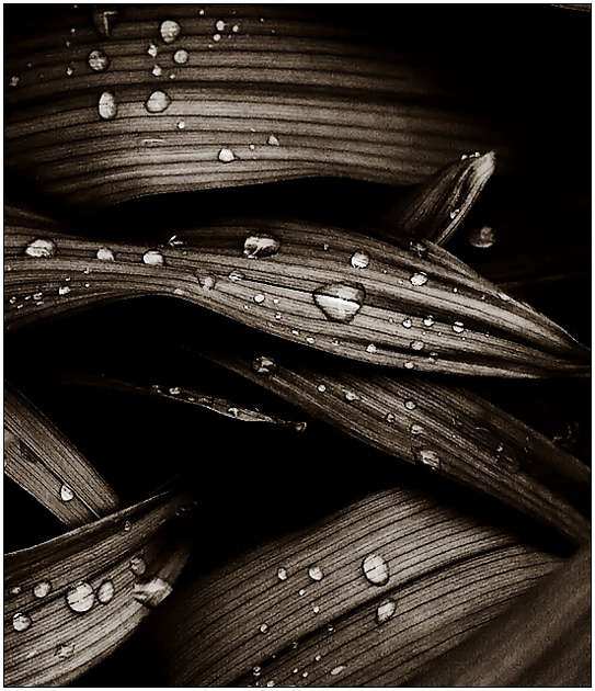 Droplets